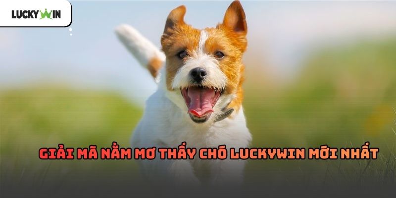 Nằm Mơ Thấy Chó Luckywin – Giải mã giấc mơ thấy chó