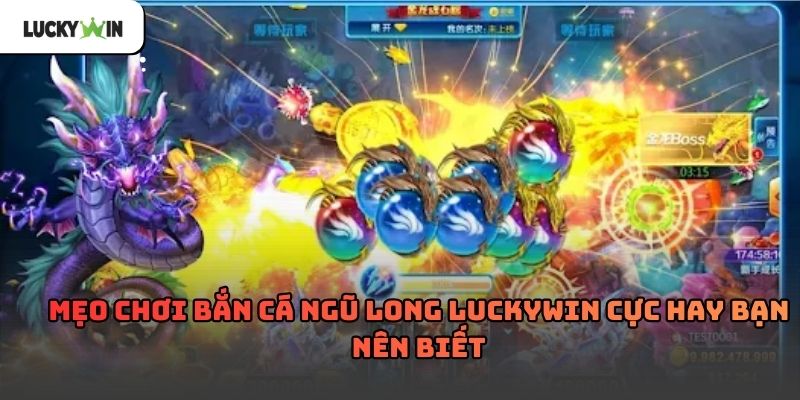 Bắn cá ngũ long luckywin – Trải nghiệm săn thưởng 2026