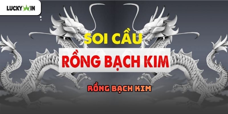 Rồng Bạch Kim Soi Cầu Theo Chu Kỳ Và Quy Luật Số 2026