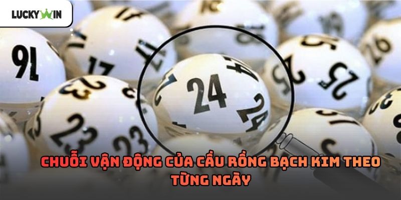 Rồng Bạch Kim Soi Cầu Theo Chu Kỳ Và Quy Luật Số 2026