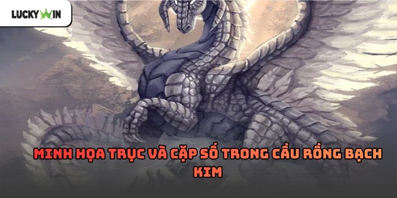Rồng Bạch Kim Soi Cầu Theo Chu Kỳ Và Quy Luật Số 2026