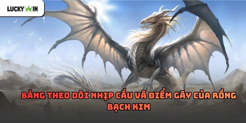Rồng Bạch Kim Soi Cầu Theo Chu Kỳ Và Quy Luật Số 2026